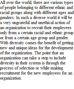 Business and Diversity Paper